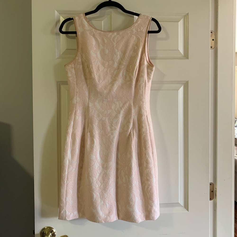 Aidan blush lace dress - worn once
